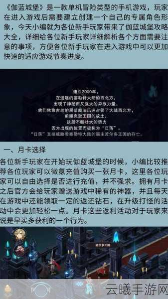 伽蓝城堡九游版震撼上线，暗黑地下城冒险RPG新体验，探索未知世界的无尽魅力