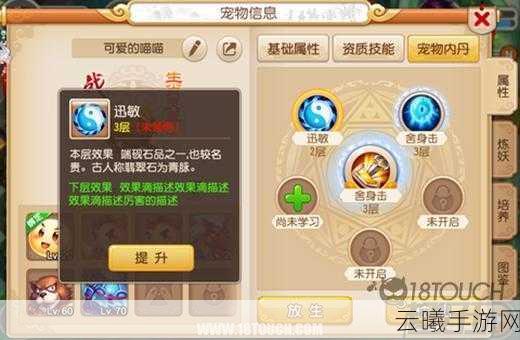 梦幻西游手游风雷汇内丹深度解析与趣味玩法探索