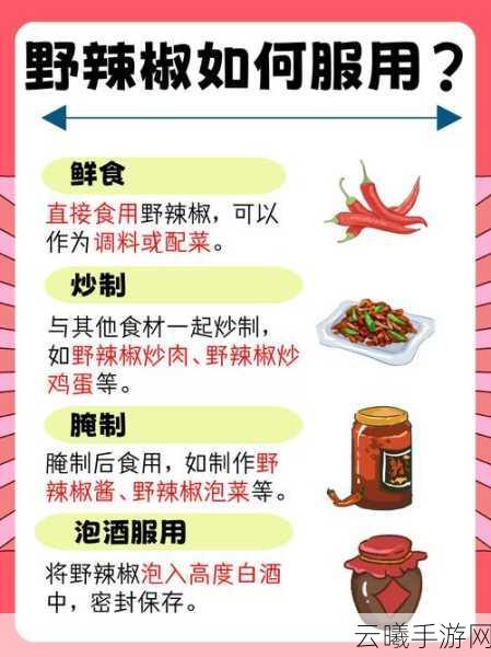 创造与魔法,辣椒获取及烹饪指南,解锁奇幻美食之旅