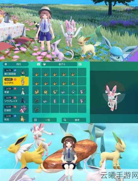 宝可梦朱紫仙子伊布全方位培养攻略，打造你的屠龙高手！