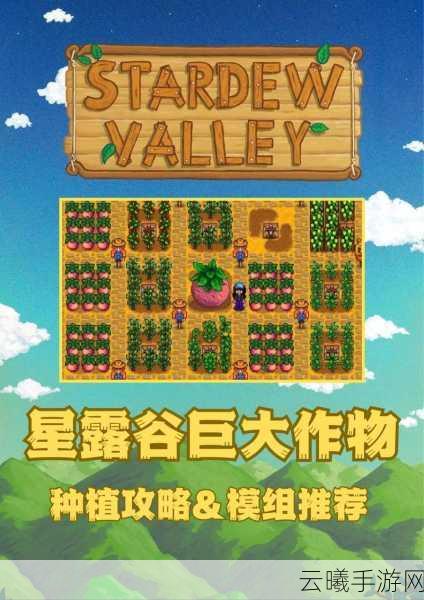 星露谷物语种植攻略,揭秘哪些作物能让你赚得盆满钵满?