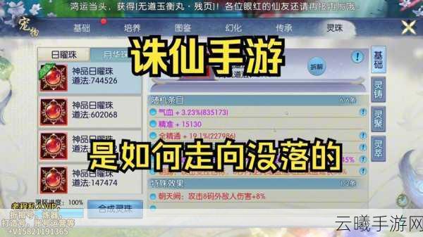 诛仙2手游深度解析，九套小资玩家如何精挑元婴，九黎叔的选择揭秘