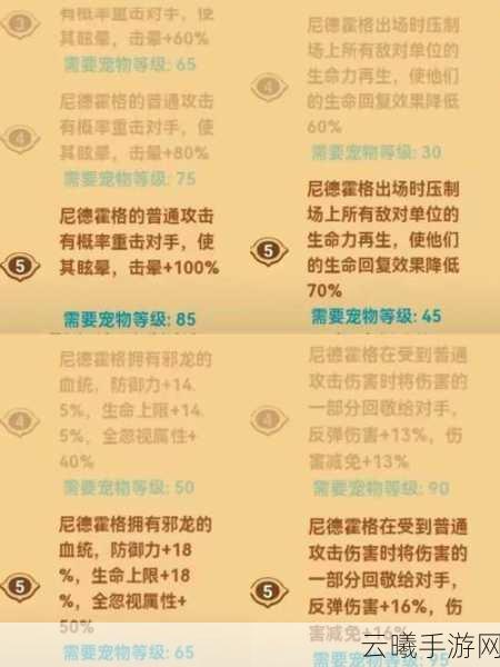 疯狂骑士团2025年S宠物全面排行及详细强度分析与趣味玩法揭秘