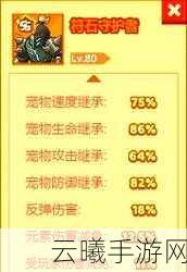 疯狂骑士团2025年S宠物全面排行及详细强度分析与趣味玩法揭秘