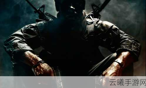 使命召唤21,黑色行动6震撼登场,掌握加速秘籍,畅享极致射击盛宴!