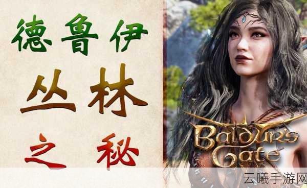 博德之门3前编剧揭秘，人熊战起源竟是玩笑，手游版创新玩法大揭秘