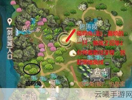 完美世界手游帮贡获取攻略及趣味玩法揭秘