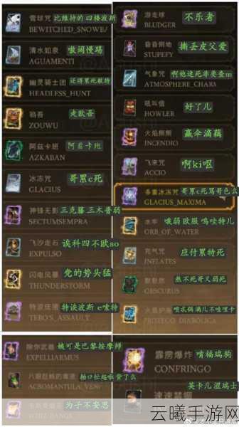哈利波特，魔法觉醒揭秘，能夺取对手魔杖的咒语大揭秘！