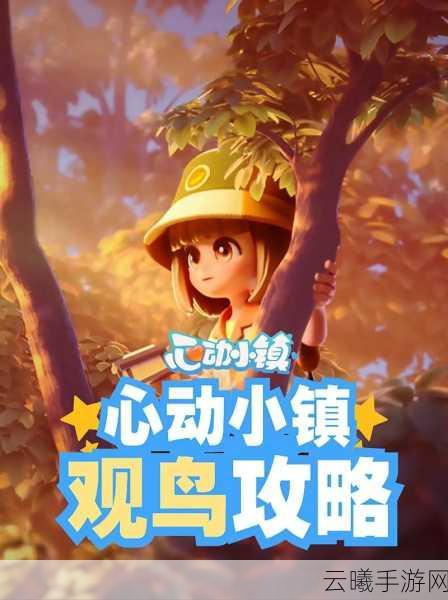 心动小镇观鸟图鉴发布,探索自然奥秘的奇妙之旅