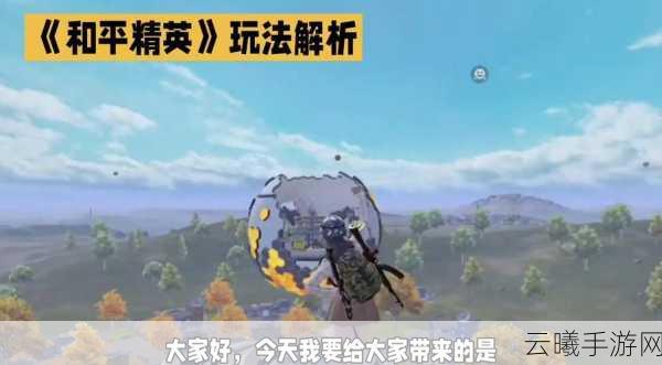 和平精英精英手册永久有效性揭秘,新手开荒必备攻略,保姆级教学助你速成高手!