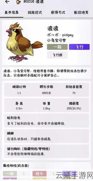 口袋妖怪圣灰，揭秘波波进化等级与趣味玩法