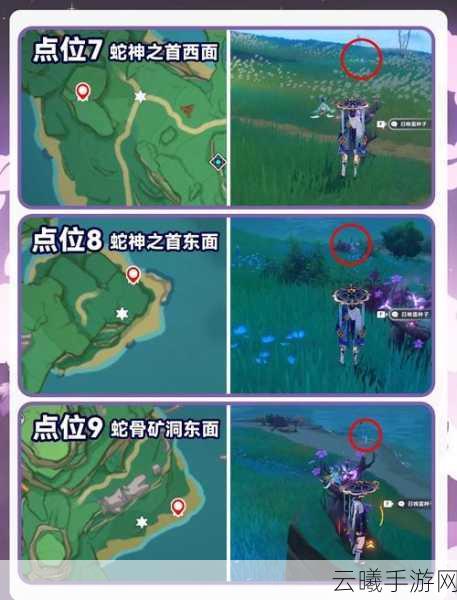 原神稻妻特殊宝藏揭秘,隐藏位置与寻宝全攻略,探索未知乐趣无限!