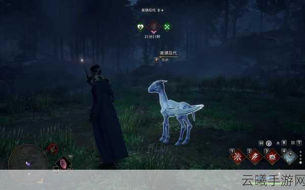 霍格沃茨之遗夜骐捕捉位置全揭秘及趣味玩法探索