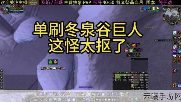 魔兽世界手游版,冬泉谷探险全攻略——详细路径与趣味玩法揭秘