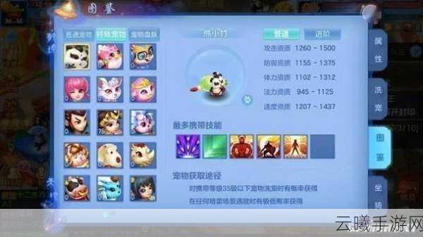 神武3手游宠物装饰获取全攻略及趣味玩法揭秘