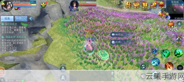 倩女幽魂手游心易积分查询指南及趣味玩法揭秘