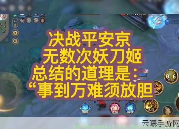 决战平安京深度攻略,妖刀姬出装秘籍与侍类式神出装全解析,解锁趣味新玩法!