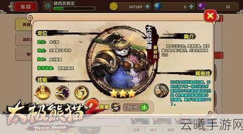太极熊猫2符文系统深度剖析,打造专属战斗艺术的秘籍