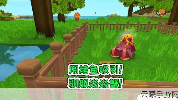 迷你世界焱焱蟹捕捉与趣味玩法全攻略