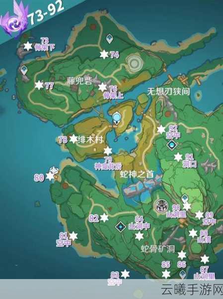 原神珊瑚宫雷神瞳全攻略,解锁神秘力量,探索无限乐趣!