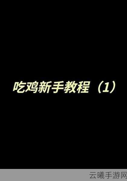 和平精英吃鸡助攻判定规则及趣味玩法揭秘