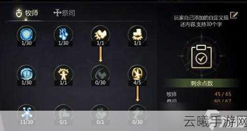 龙之谷手游祭祀技能全面解析与最佳加点攻略,打造无敌治疗与爆发输出