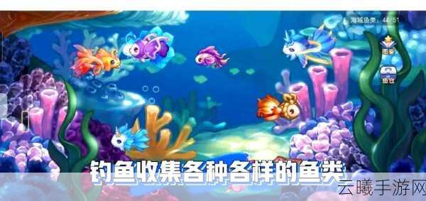 奥比岛，梦想国度新手开局岛屿选择全攻略，哪个岛屿最适合你？
