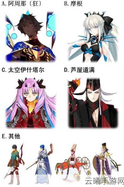 命运冠位指定骑阶巅峰对决,船长与大帝光炮英灵争霸战全面解析及趣味玩法揭秘