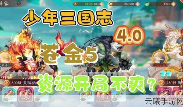 少年三国志二竞技之路,揭秘快速提升等级的秘诀与策略,解锁趣味新玩法!