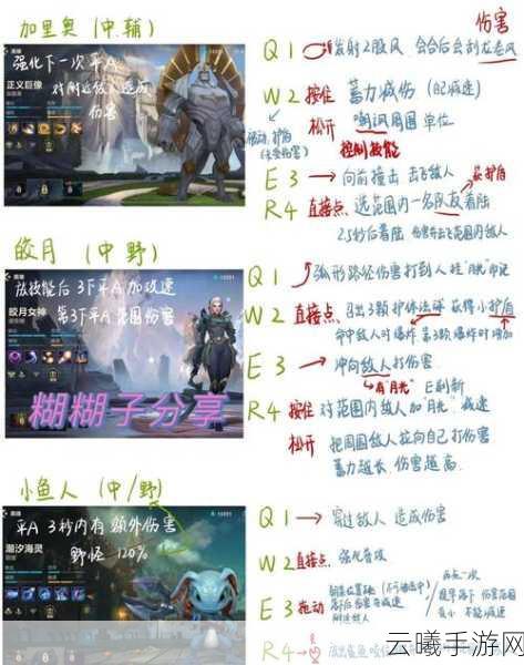 英雄联盟手游sup角色深度解析,辅助的艺术与乐趣