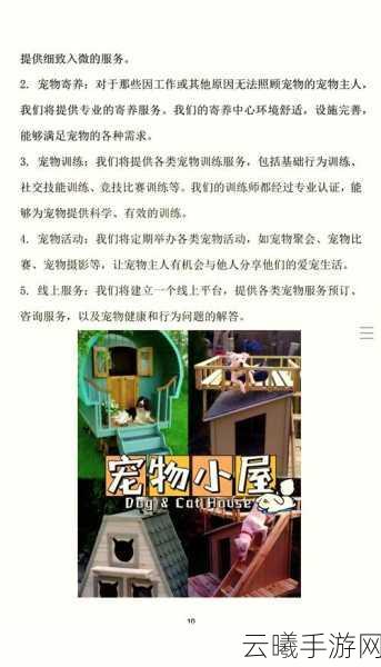 梦想桃源宠物培养技巧大揭秘,打造你的专属萌宠乐园