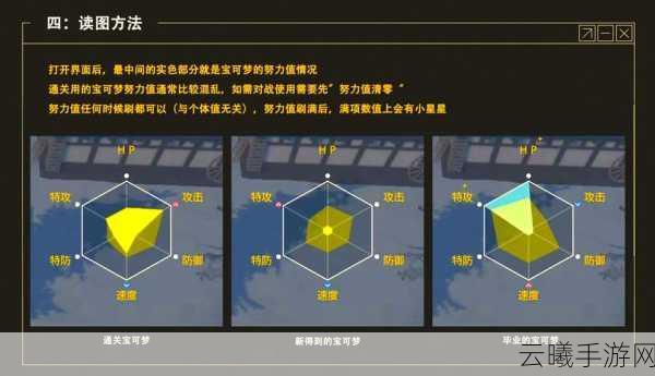 宝可梦剑盾努力值速刷技巧与趣味玩法全解析