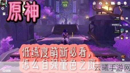 原神堇色之庭解锁攻略及趣味玩法揭秘