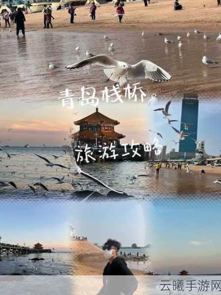 心动小镇,探索海鸥资料卡拍摄地,解锁海岛奇遇之旅