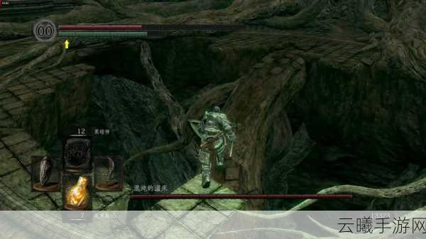 黑暗之魂重制版龙鳞获取全攻略及趣味玩法揭秘