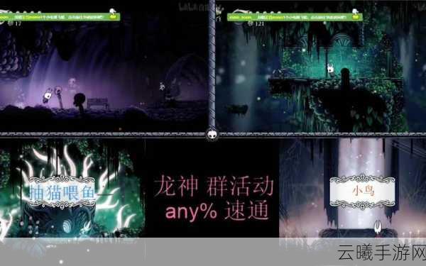 地下城与领主50龙神低配速通攻略,解锁全新冒险之旅的钥匙