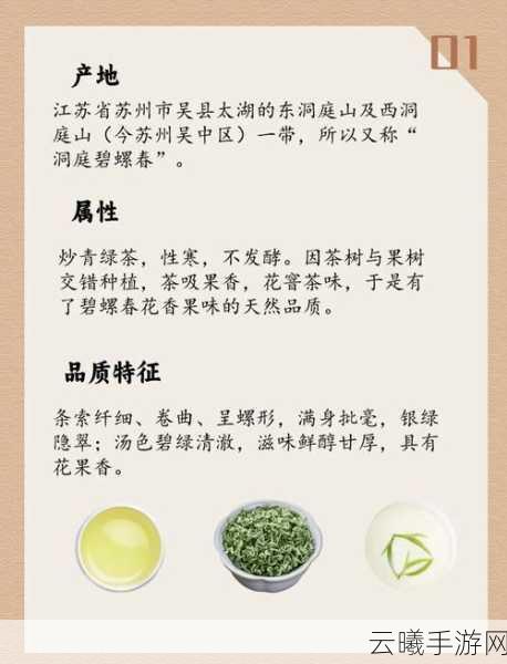 烟雨江湖，碧螺春寻觅之旅，探寻茶中珍品的传奇冒险