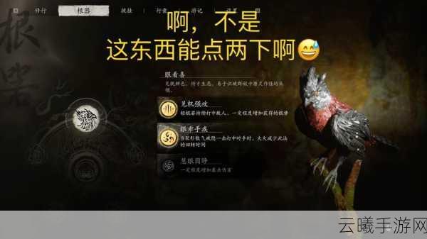 黑神话，悟空根器重选机制全解析及趣味玩法揭秘