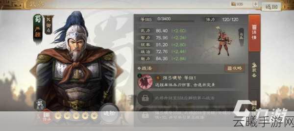 三国志，战略版深度解析——严颜是拆还是留？策略与趣味的双重盛宴