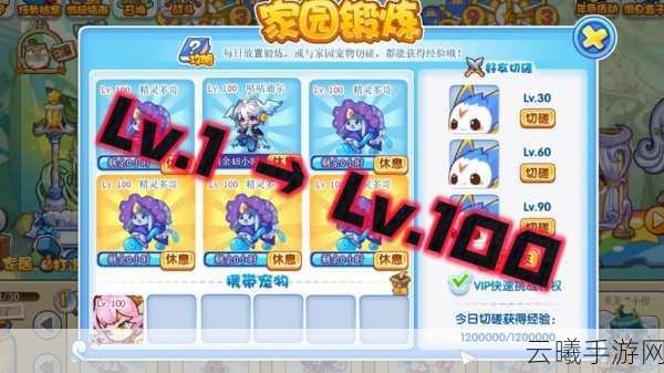 洛克王国快速获取果儿糖全攻略及趣味玩法介绍