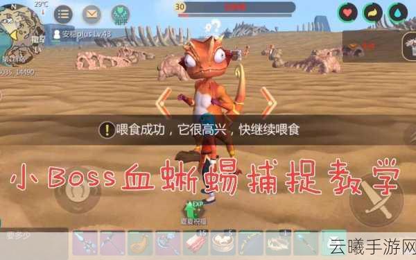 创造与魔法探索未知，揭秘血蜥蜴栖息地与趣味玩法