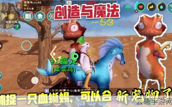 创造与魔法探索未知,揭秘血蜥蜴栖息地与趣味玩法