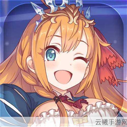 公主连结人权卡全解析及趣味玩法探索