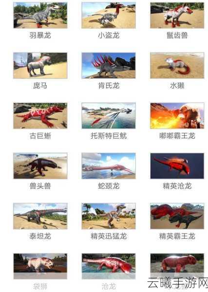 方舟生存进化与方舟生存飞升,两款生存游戏的异同与趣味玩法