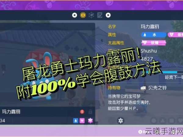 宝可梦朱紫玛力露丽学习腹鼓技能全攻略,打造顶级战斗精灵