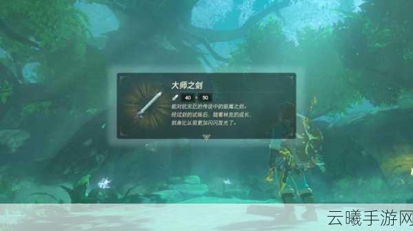 塞尔达传说,智慧的再现火箭玻石虫获取攻略及趣味玩法揭秘