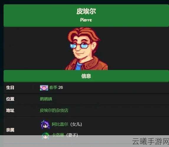 星露谷物语手游新风尚,网友热议,哪款帽子设计最吸睛?时尚选择大盘点及趣味玩法揭秘!