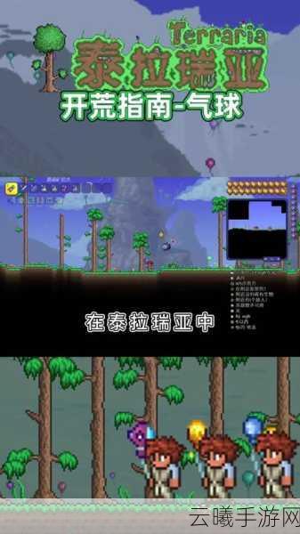 泰拉瑞亚气球道具大揭秘，多样功能助你探险无忧！