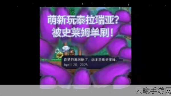 泰拉瑞亚气球道具大揭秘,多样功能助你探险无忧!