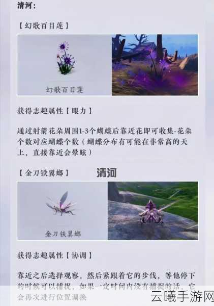 燕云十六声鱼竿获取攻略及趣味钓鱼玩法揭秘